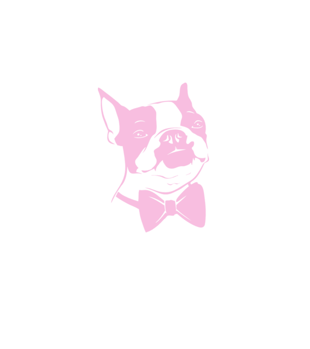Boston Terrier model alb pe tricou