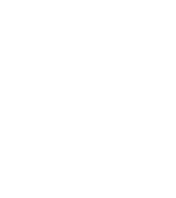 not your ... trandafirul meu model albastru jeanși pe tricou