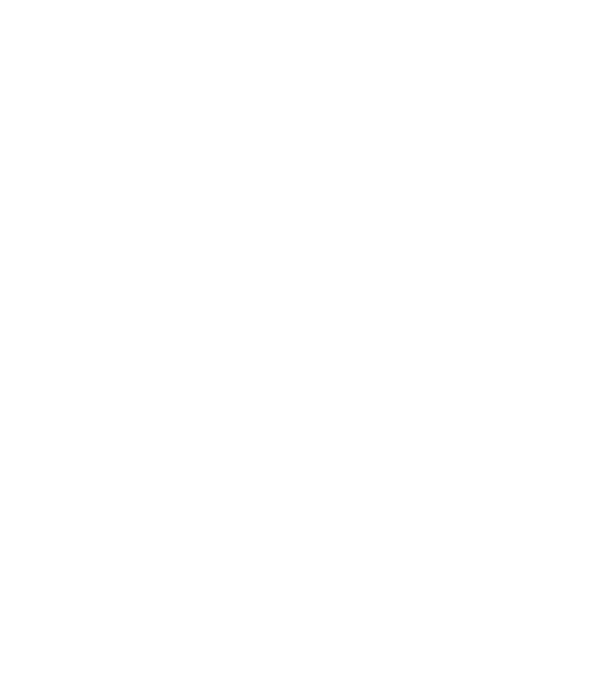 Camion 2. model turcoaz pe tricou