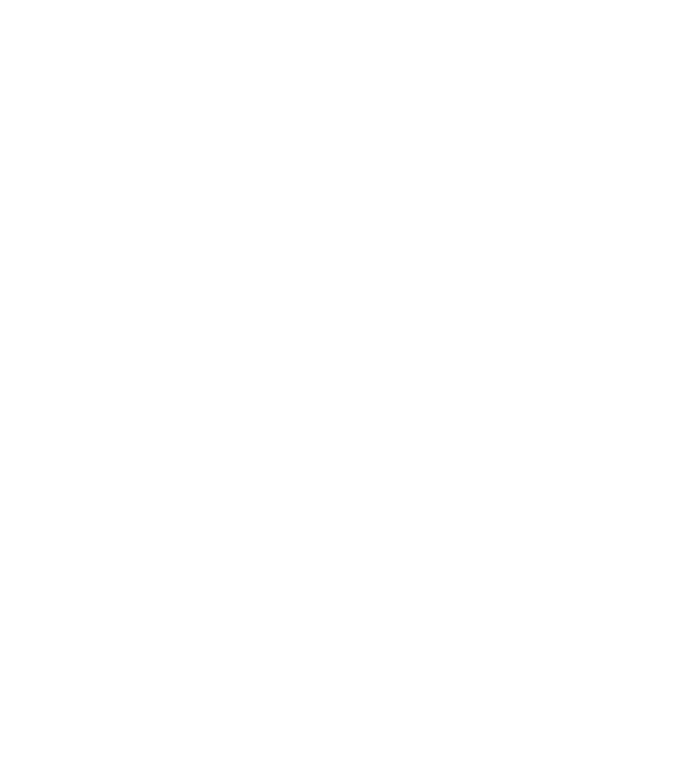 Alive since 1999 model negru pe tricou