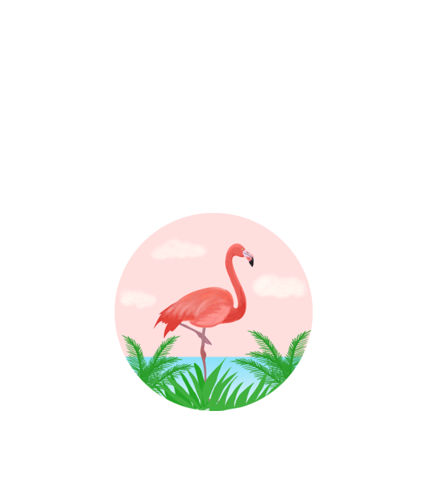 Flamingo model alb pe tricou