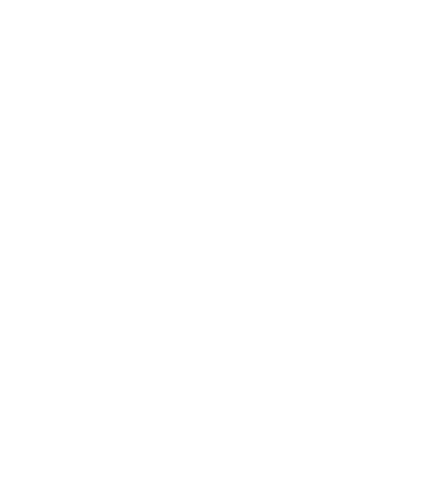 România made in model alb pe tricou
