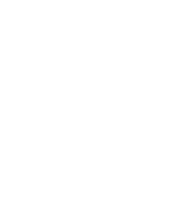 Crazy Cat Ladies are born in April model negru pe tricou