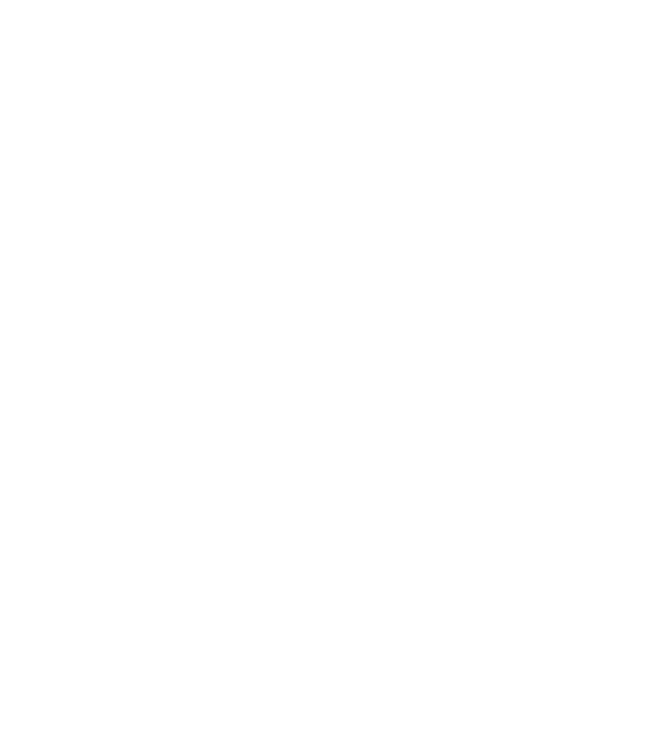 Regele - ceaunului! model negru pe tricou