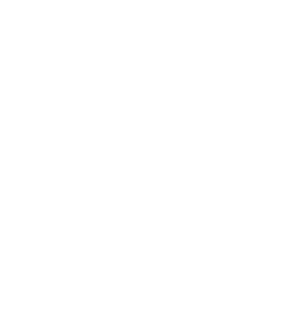 Dog Year - 140 model albastru regal pe tricou