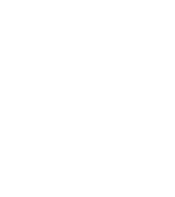 Tatadidas model alb pe tricou