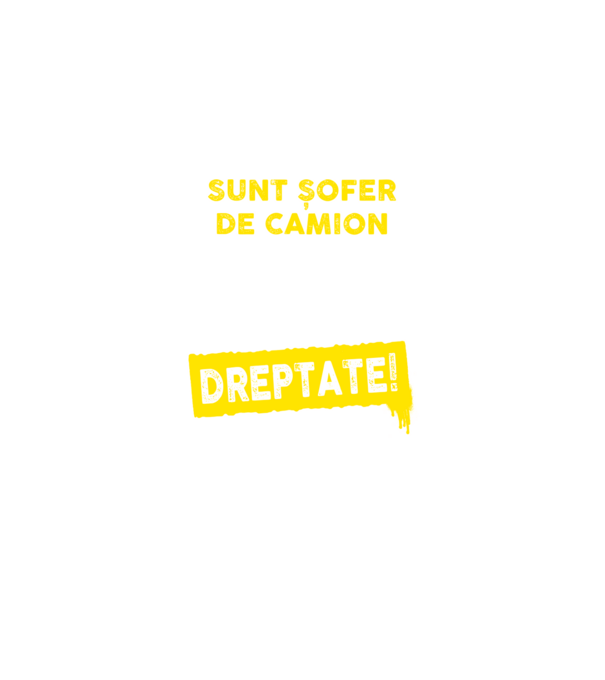 Sunt șofer de camion, pentru a economisi timp, să reținem că am întotdeauna dreptate! model negru pe tricou