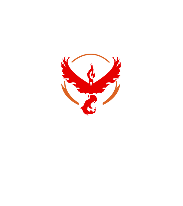 Valor team logo model alb pe tricou
