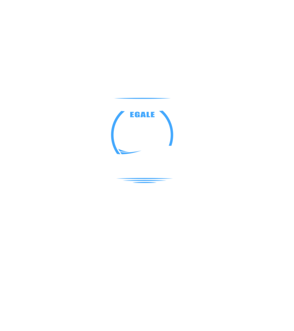 Toate femeile se nasc egale, dar numai cele mai bune devin jurnaliste model gri pe tricou