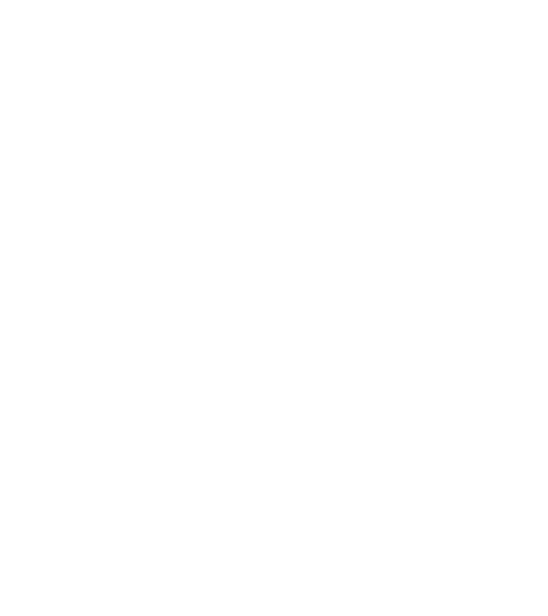 All men are created equal but only the best are born in november model negru pe tricou
