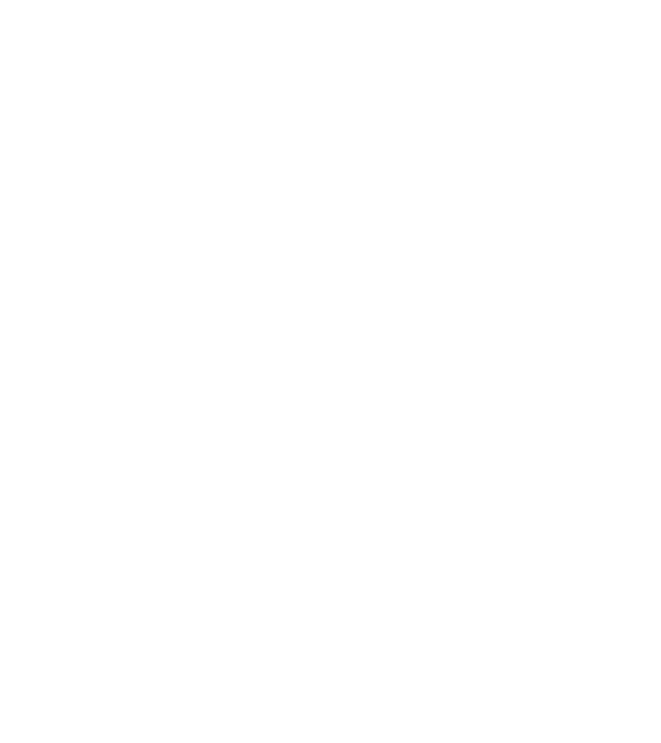 România made in model negru pe tricou