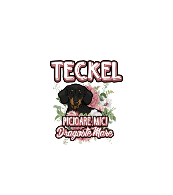 teckel : picioare mici dragoste mare model alb pe tricou