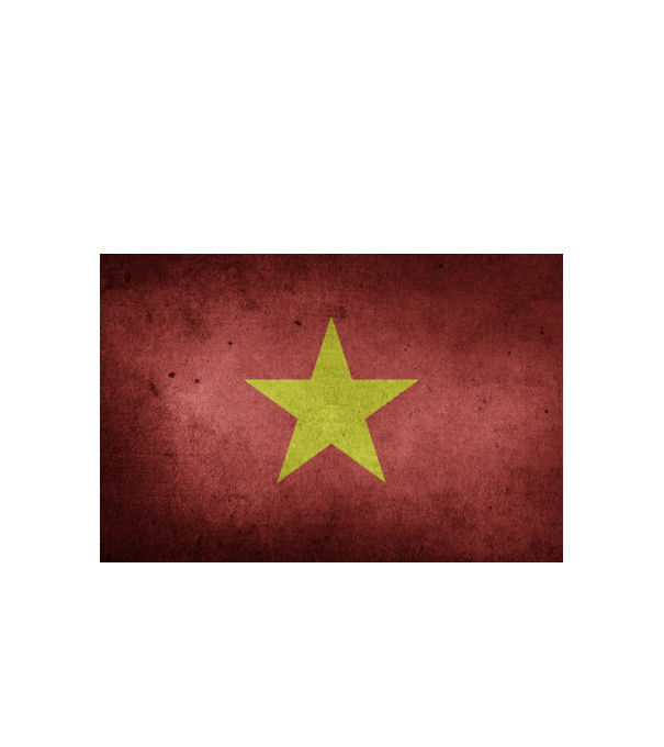 VIETNAM model alb pe tricou
