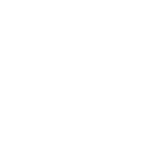 Crazy Cat Ladies are born in October model turcoaz pe tricou