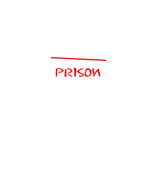 Back to prison - școală model gri închis pe tricou