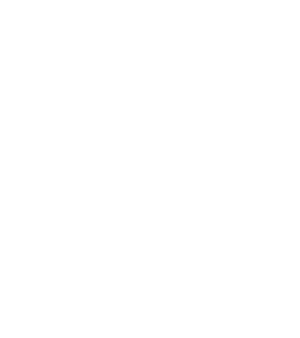 Mrs 2 model negru pe tricou