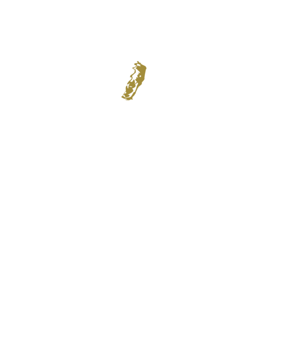 King in the north 2c model negru pe tricou