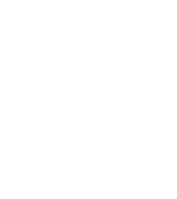 nimeni nu e perfect, dar stăpânii de havanese sunt foarte aproape model turcoaz pe tricou