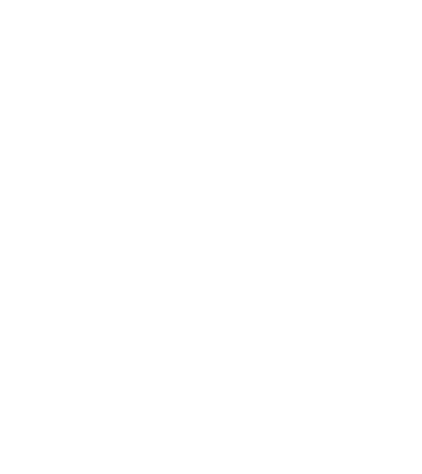 Poate că sunt mecanic, dar nu pot repara prostia model negru pe tricou