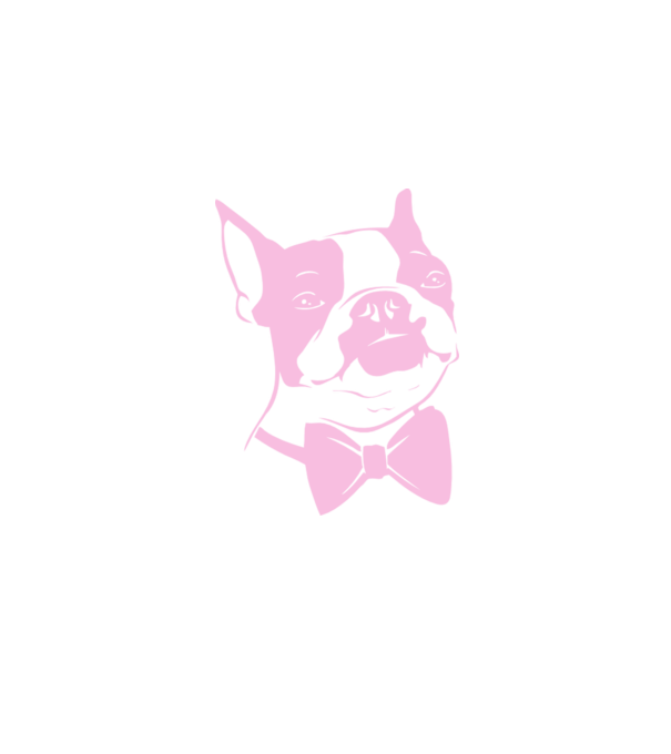 Boston Terrier model alb pe tricou