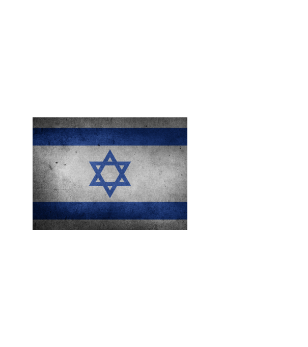 ISRAEL model alb pe tricou