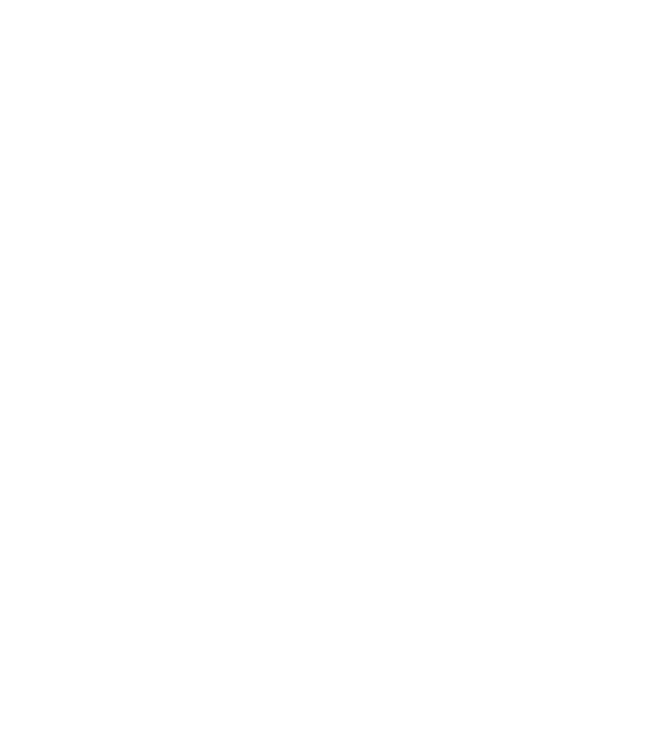 Tatadidas model alb pe tricou