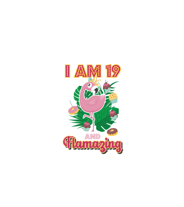 FLAMAZING Birthday 19 Years old model alb pe tricou