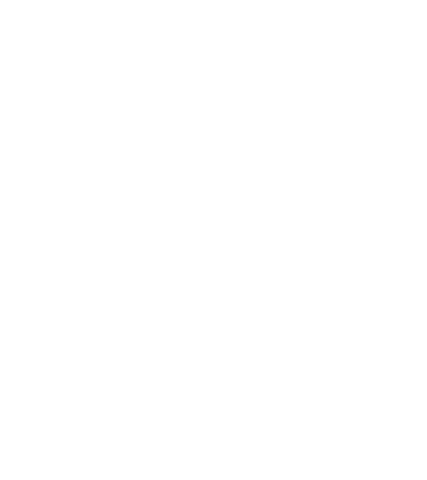 Crazy Cat Ladies are born in April model negru pe tricou