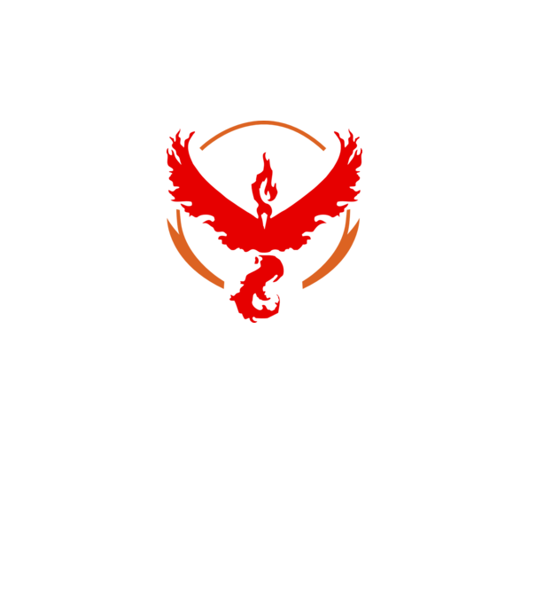 Valor team logo model gri pe tricou