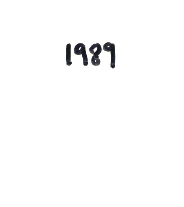 Taylor Swift 1989 text model gri pe tricou