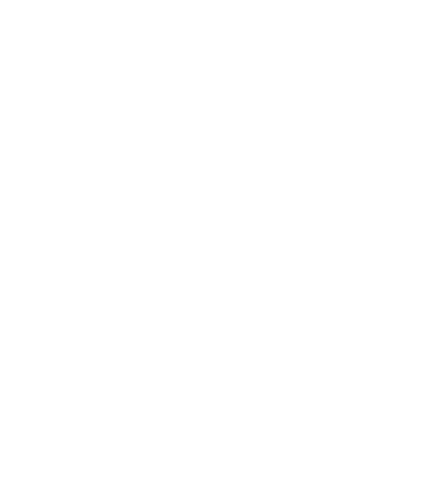 I do my own stunts model negru pe tricou