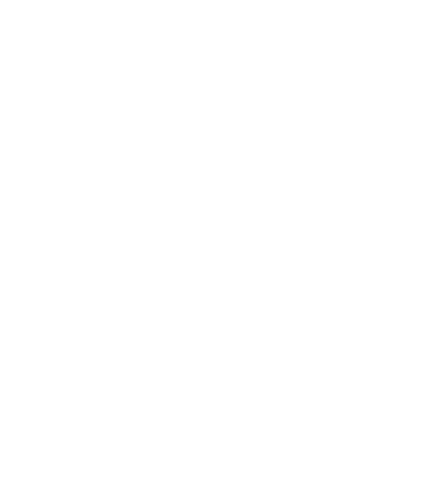 Box evolution model negru pe tricou
