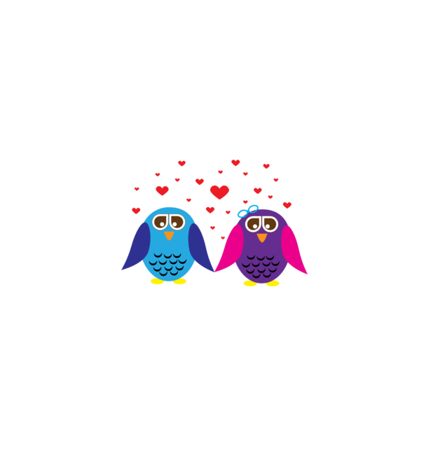 Owl Love model gri pe tricou