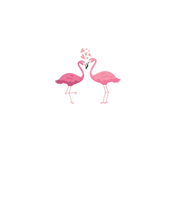 FLAMINGO ÎNDRĂGOSTIȚI model alb pe tricou