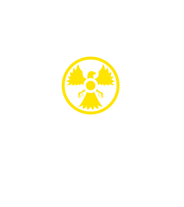 phoenix atom model gri pe tricou