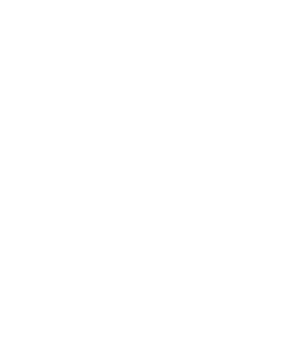 nimeni nu e perfect, dar stăpânii de chivava sunt foarte aproape model negru pe tricou