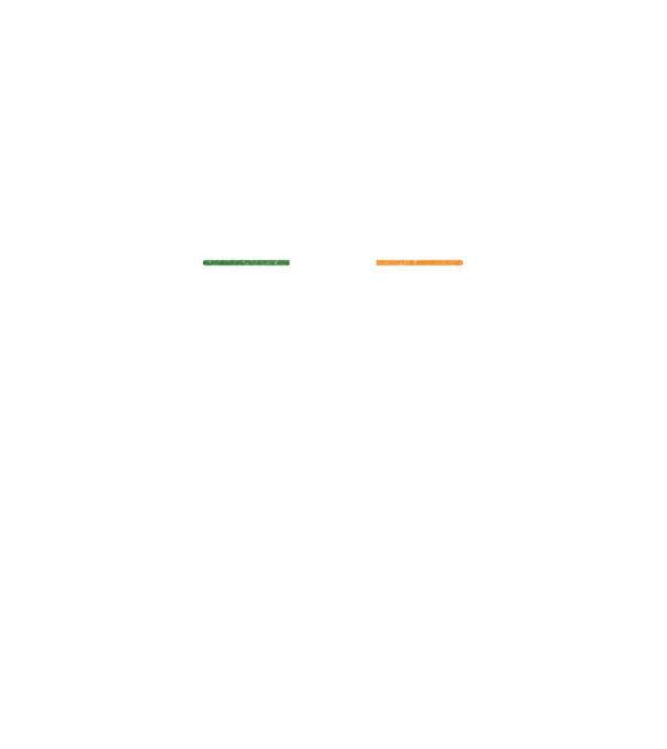 Zero irish model negru pe tricou