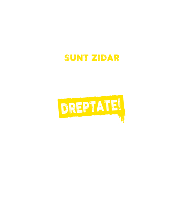 Sunt zidar, pentru a economisi timp, să reținem că am întotdeauna dreptate! model albastru regal pe tricou