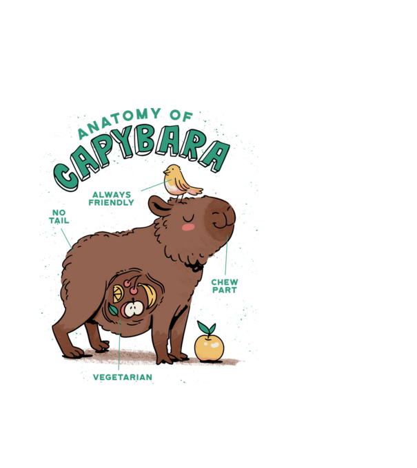 Anatomy of Capybara model alb pe tricou