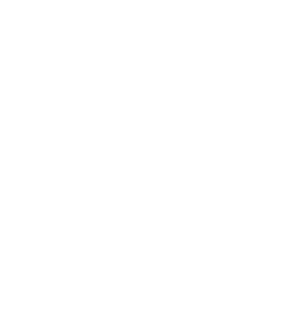 Cei mai buni au gemeni model turcoaz pe tricou