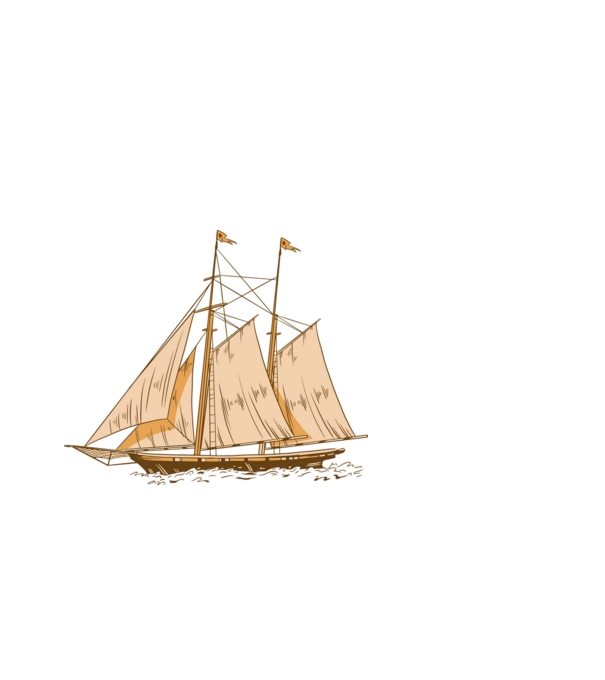 Vapoare model alb pe tricou
