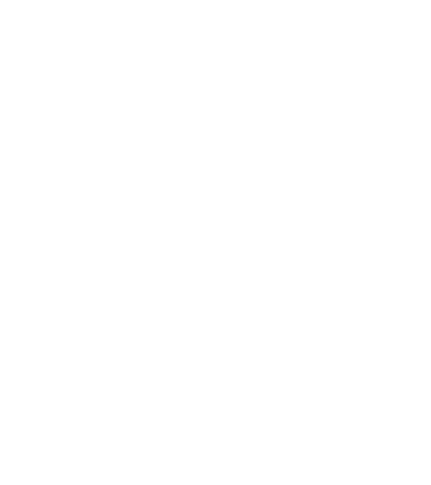 LOVE Staffordshire Terrier model negru pe tricou