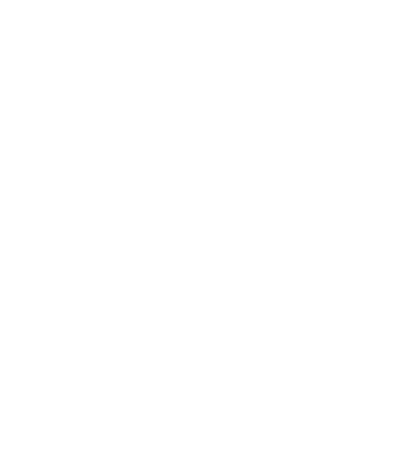 All men are created equal but only the best are born in february model negru pe tricou