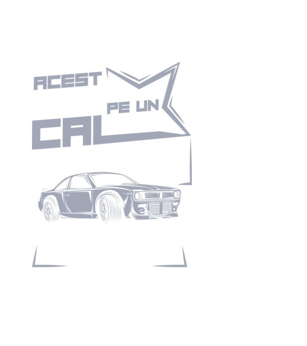 Acest prinț nu vine pe un cal alb, ci într-un BMW model negru pe tricou