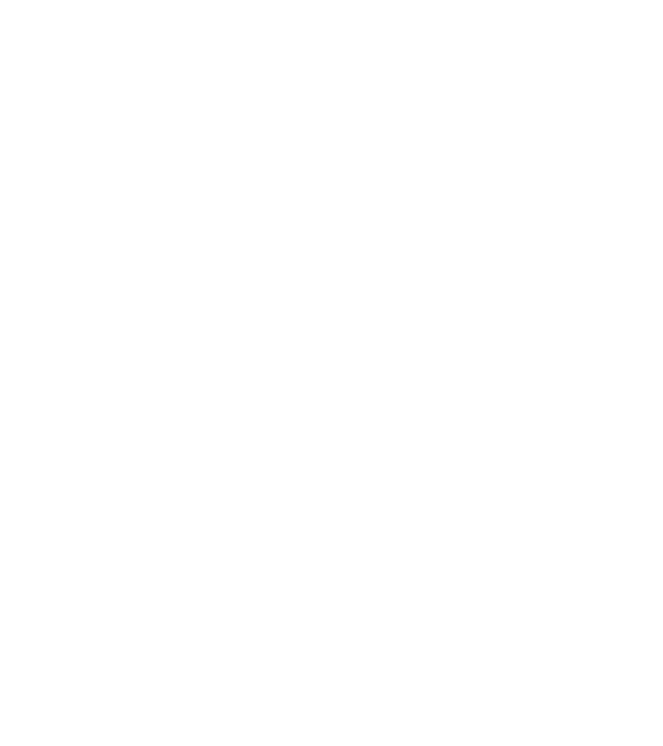 nimeni nu e perfect, dar stăpânii de chivava sunt foarte aproape model negru pe tricou