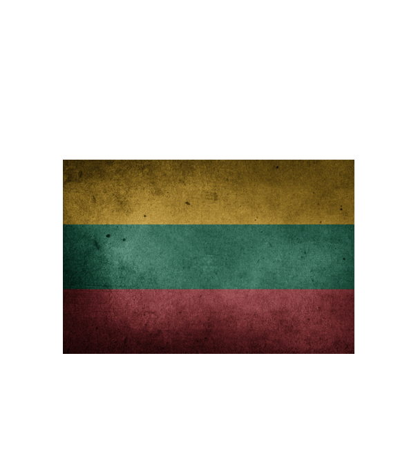 LITHUANIA model alb pe tricou