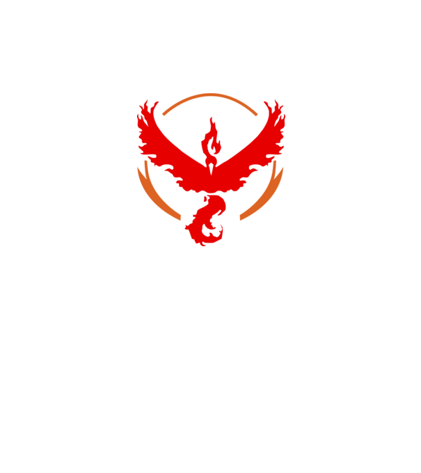 Valor team logo model alb pe tricou