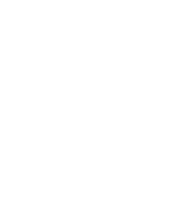 LOVE Staffordshire Terrier model negru pe tricou