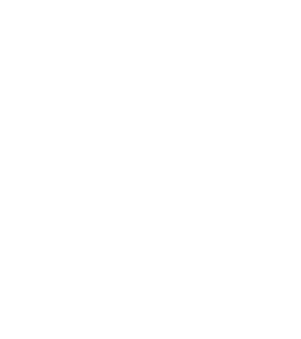 Clasă absolventă  model negru pe tricou