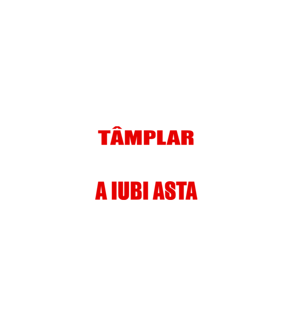 Sunt suficient de priceput pentru a fi TÂMPLAR și suficient de nebun pentru a iubi asta model negru pe tricou